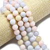 Natural Malaysia Jade Beads Strands G-L645-A01-10mm-26-4