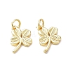 Rack Plating Brass Charms KK-F849-02G-2