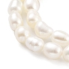 Natural Keshi Pearl Cultured Freshwater Pearl Beads Strands PEAR-P062-25D-4