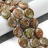 Natural Unakite Beads Strands G-K365-B08-03-2