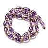 Natural Amethyst Beads Strands G-L610-C01-01-3