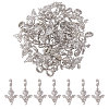 CHGCRAFT 36Pcs Alloy European Dangle Charms MPDL-CA0001-06P-7