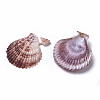 Scallop Shell Pendants SSHEL-TAC0001-01-2