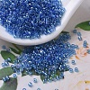 MIYUKI Delica Beads Small X-SEED-J020-DBS0177-1