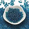 Transparent Colours Glass Seed Beads SEED-C001-02A-05-2