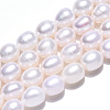 Natural Cultured Freshwater Pearl Beads Strands LS-PEAR-N012-07K-4