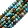 Natural Turquoise Beads Strands G-K245-A16-01-1