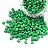 8/0 Baking Paint Glass Seed Beads SEED-R051-07B-09-1