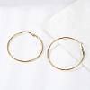 201 Stainless Steel Hoop Earrings EJEW-F188-24G-C-1