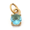 304 Stainless Steel Micro Pave Cubic Zirconia Pendants STAS-R167-01C-G-1