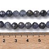 Natural Iolite/Cordierite/Dichroite Beads Strands G-L651-C03-6mm-5