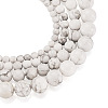 4 Strands 4 Style Natural Howlite Beads Strands G-TA0001-34-10