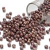 TOHO 6/0 Round Beads SEED-TR06-1203-1