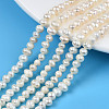 Natural Cultured Freshwater Pearl Beads Strands PEAR-N013-04B-1