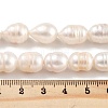 Natural Cultured Freshwater Pearl Beads Strands PEAR-P062-12B-5