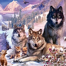 DIY Wolf & Scenery Diamond Painting Kits DIAM-PW0001-252J