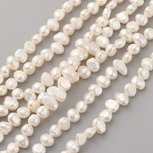 Natural Cultured Freshwater Pearl Beads Strands PEAR-G007-04B