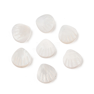 Natural Freshwater Shell Beads SHER-R100-04A-1