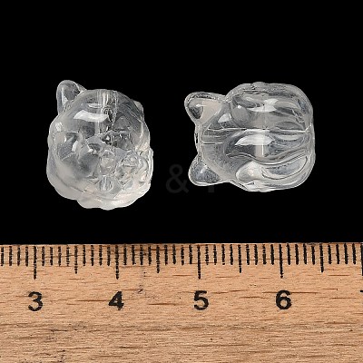 Transparent Glass Beads GLAA-D025-06L-1