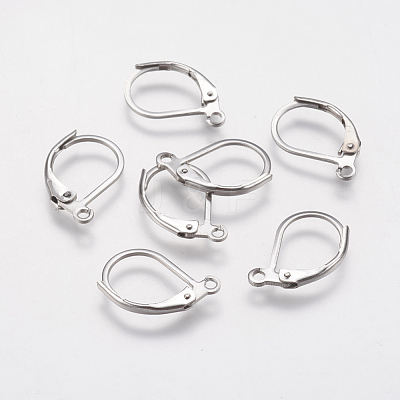 Tarnish Resistant 304 Stainless Steel Leverback Earring Findings STAS-F141-03P-1