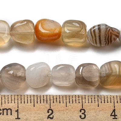 Natural Botswana Agate Beads Strands G-D081-A10-01-1