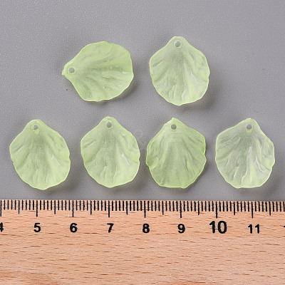 Transparent Frosted Acrylic Pendants MACR-S371-01A-728-1