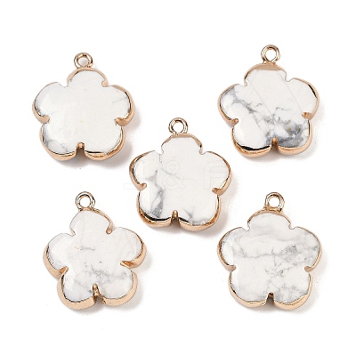 Natural Howlite Pendants G-P566-01G-13-1