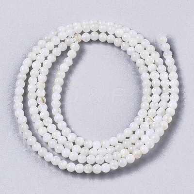 Natural Freshwater Shell Beads Strands BSHE-T009-01F-1