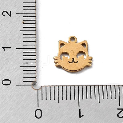 304 Stainless Steel Charms STAS-K272-01B-G-1