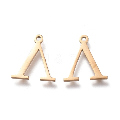 304 Stainless Steel Charms STAS-K215-24G-1