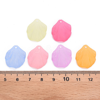 Transparent Frosted Acrylic Pendants MACR-S371-01A-1