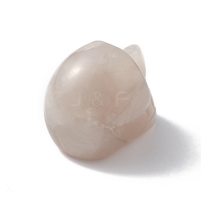 Natural Crazy Agate Display Decoration G-C022-01G-1