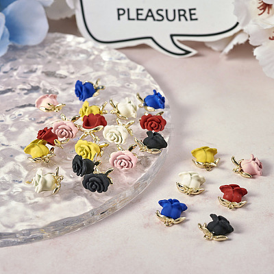 24Pcs 6 Colors Spray Painted Alloy Charms FIND-TA0003-29-1
