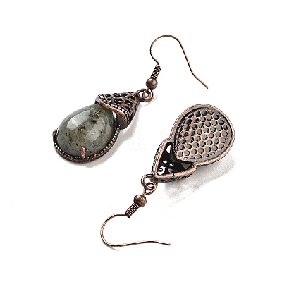 Natural Labradorite Teardrop Dangle Earrings EJEW-B055-01R-22-1