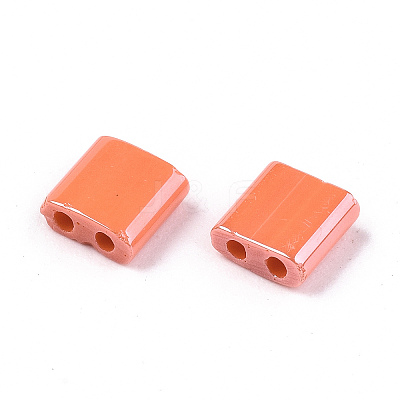 FGB 2-Hole Glass Seed Beads SEED-S031-L-ST130-1