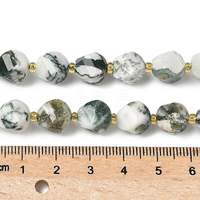Natural Tree Agate Beads Strands G-U023-A15-01-1