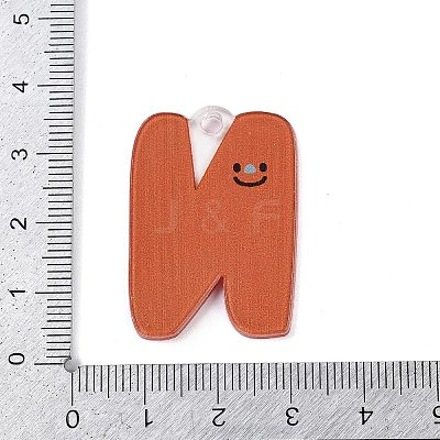 Acrylic Pendants LS-MACR-R002-01N-1