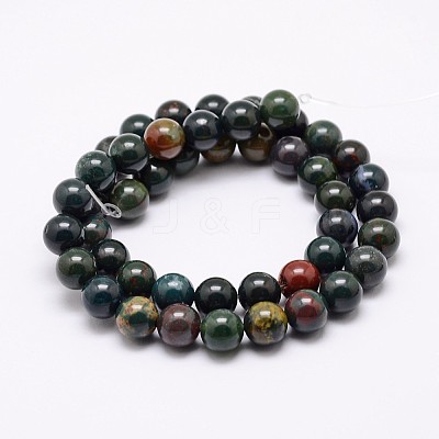 Natural Indian Bloodstone Beads Strands G-P257-07-10mm-1