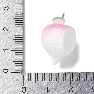 Resin Iron Pendants RESI-D280-13-1