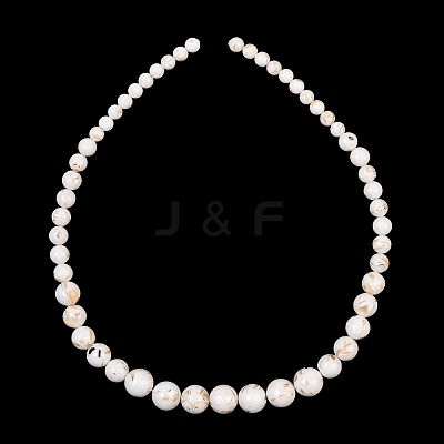 Synthetic Turquoise and Sea Shell Assembled Graduated Beads Strands GG-CBA2AE1-A07-A-1