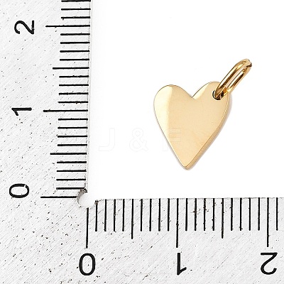 304 Stainless Steel Charms STAS-L291-01G-F-1