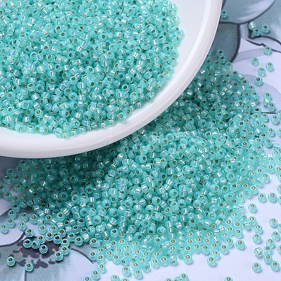 MIYUKI Round Rocailles Beads X-SEED-G007-RR0571-1