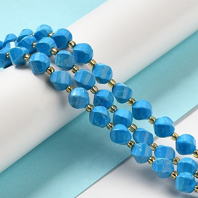 Dyed Natural Howlite Beads Strands G-G023-B01-02A-1