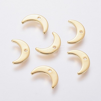 304 Stainless Steel Charms LS-STAS-L234-073G-1