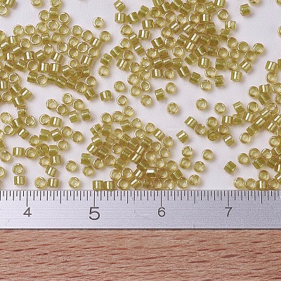 MIYUKI Delica Beads X-SEED-J020-DB0911-1
