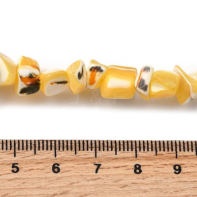Natural Trochid Shell/Trochus Shell Beads Strands SHEL-B003-02H-1