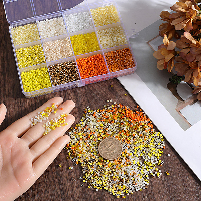 156g 12 Style Glass Seed Beads SEED-SC0001-32A-04-1