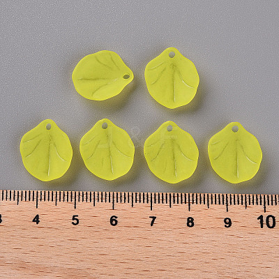 Transparent Frosted Acrylic Pendants MACR-S371-02A-717-1