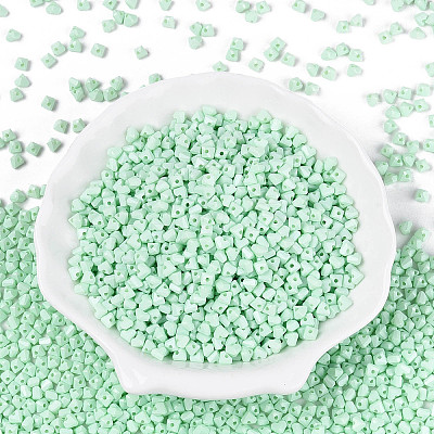 Baking Paint Glass Seed Beads SEED-N007-30B-1