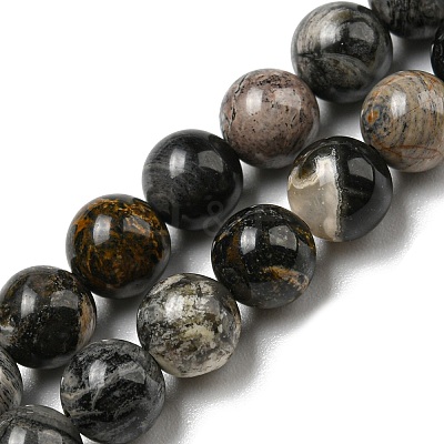Natural Black Silver Leaf Jasper Beads Strands G-R494-A17-02-1